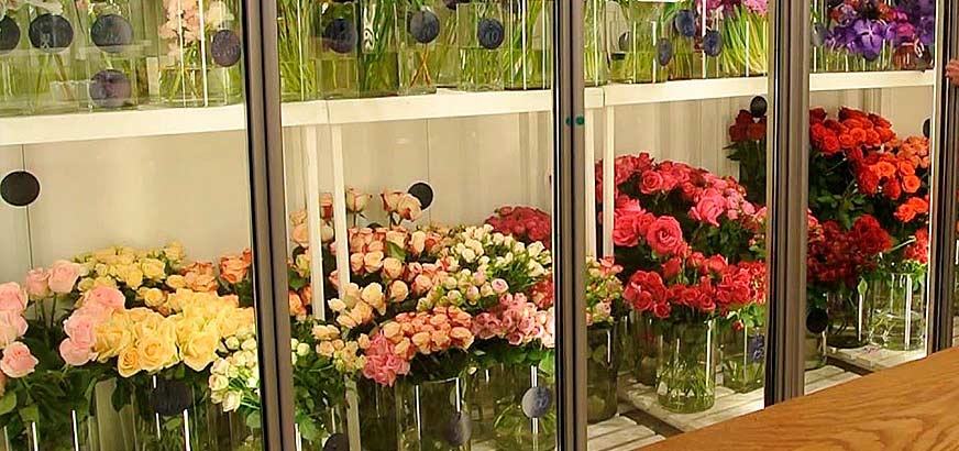 Ремонт цветочных холодильников в Санкт-Петербурге